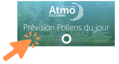 Newsletter Pollens
