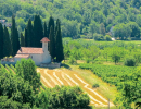 Phytosanitaires dans l'air en Occitanie