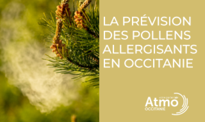 La prévision des pollens allergisants en Occitanie