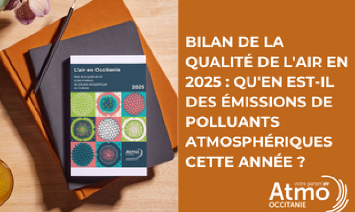 Bilan de la qualité de l'air en 2025 : qu'en est-il des émissions de polluants atmosphériques cette année ?