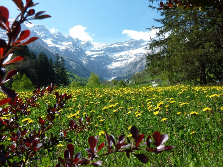 Pyrénées