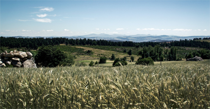 Occitanie : Pesticides dans l'air : quels résultats en 2020-2021 ? Pesticides dans l'air : quels résultats en 2020-2021 ?