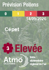 ATMO Occitanie - Prévision Pollens