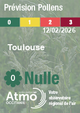 ATMO Occitanie - Prévision Pollens