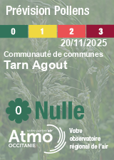 ATMO Occitanie - Prévision Pollens ATMO Occitanie - Prévision Pollens